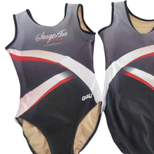 Load image into Gallery viewer, Club/Team Leotard
